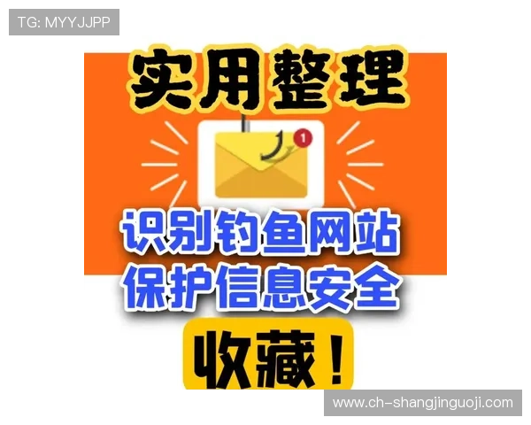 如何安全访问PG数据库官网地址，避免钓鱼网站和信息泄露的实用技巧